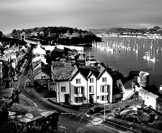 轰炸短信在线使用